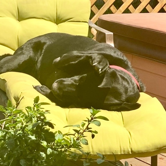 Fashion is fun.Diversity. Connections. Honesty - Picture 7 of 8